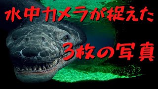 【UMA】ネッシー　アカデミー調査団編【未確認生物】