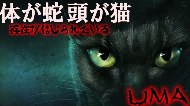 UMAタッツェルブルム。ヨーロッパでもっとも信じられている未確認生物とは・・・。【世界謎ミステリー】