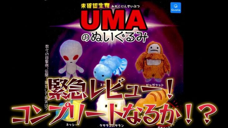 【ガチャガチャ】未確認生物UMAのぬいぐるみをレビュー！