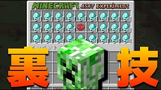 マイクラの裏技や都市伝説を実験・検証してみたら奇跡が起きたｗ【マインクラフト】