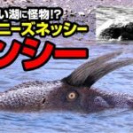 歴史が浅い湖に怪物！？チャイニーズネッシー テンシー