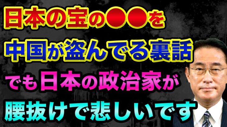 日本の宝「海底資源」を中国が盗んでる裏話。ロックフェラーも倒せる黄金株と株式会社インペックスの裏話。岸田首相は「遺憾です」だけで、資源大国になれる日本の未来がヤバい【 都市伝説 日経平均 株 】