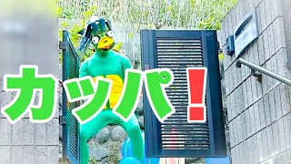 【カッパ！！】都市伝説　未確認生物　妖怪　カッパに遭遇！！