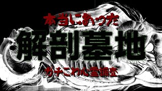 【超恐怖】とある心霊スポットで起きた本当の恐怖