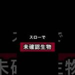 未確認生物⁉︎😳 スカイフィッシュ✨ 撮影に成功⁉︎ 貴重映像 #shorts #未確認飛行物体 #uma #都市伝説 #オカルト #未確認生命体 #衝撃 #貴重映像 #スカイフィッシュ #謎の