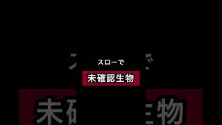 未確認生物⁉︎😳 スカイフィッシュ✨ 撮影に成功⁉︎ 貴重映像 #shorts #未確認飛行物体 #uma #都市伝説 #オカルト #未確認生命体 #衝撃 #貴重映像 #スカイフィッシュ #謎の