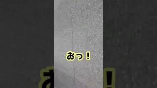 【速報】黒い飛行物体を確認/とても速いスピードで駆け抜ける/ここは飛行場か滑走路