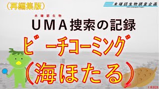 再編集【未確認生物調査企画】現地調査　ﾋﾞｰﾁｺｰﾐﾝｸﾞ（海ほたる）（2021.5.29）