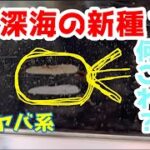 【なんじゃこれ】未確認生物？水中を浮遊する生物がいたんですけど！触ると形が変わります！大きさは小さいｮ。