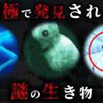 【実話】南極で本当に発見された謎の未確認生物4選がヤバすぎた…【 UMA 未解明 海 】