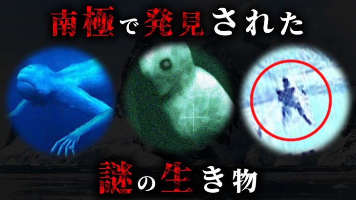 【実話】南極で本当に発見された謎の未確認生物4選がヤバすぎた…【 UMA 未解明 海 】