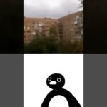 未知の生物と遭遇した時のピングーさん【Mysterious Noot Noot】