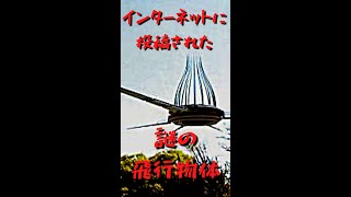 【UFO?】ドローンに似た未確認飛行物体【CG?】