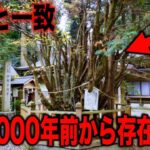 日本雛形論を示唆する証拠の数々…日本人が誰も知らない古代日本真相と正体不明の謎の遺物の真実とは?【都市伝説】