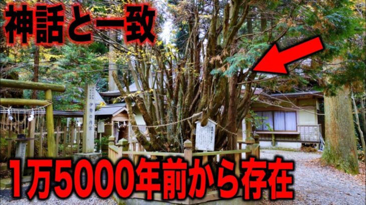 日本雛形論を示唆する証拠の数々…日本人が誰も知らない古代日本真相と正体不明の謎の遺物の真実とは?【都市伝説】