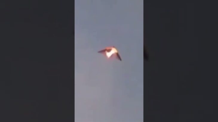 Mysterious UFO Filmed over Cuba – July 2019