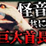 【未確認生物/UMA】怪音と共に現る…⁉︎ コッコーリ湖の怪獣「アイダハル」