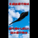 【未確認飛行物体?】長い触手を持つ謎の飛行物体【未確認生物?】