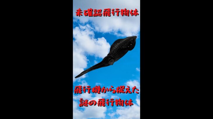 【未確認飛行物体?】長い触手を持つ謎の飛行物体【未確認生物?】