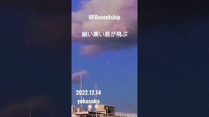 2022.12.14 黒い筋なんだろう #scoutship #yokosuka #未確認飛行物体 #宇宙船 #空飛ぶ円盤 #航空機型未確認#未確認機 #スカウトシップ#UFO