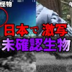 【ゆっくり解説】写真や映像で捉えた！撮影された日本の謎すぎる未確認生物7選