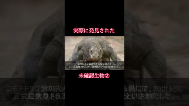 【衝撃】実際に発見された未確認生物② #衝撃 #未確認生物 #発見 #コモドドラゴン #shorts