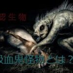 【未確認生物】吸血鬼怪物とは？？その正体⁉