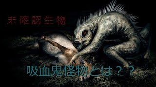 【未確認生物】吸血鬼怪物とは？？その正体⁉