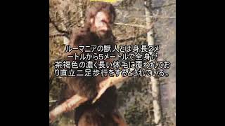 未確認生物ファイル150　ルーマニアの獣人