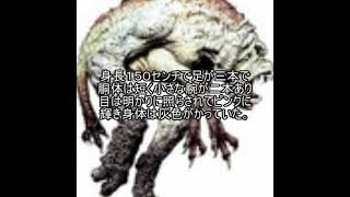 未確認生物ファイル156　エンフィールドモンスター