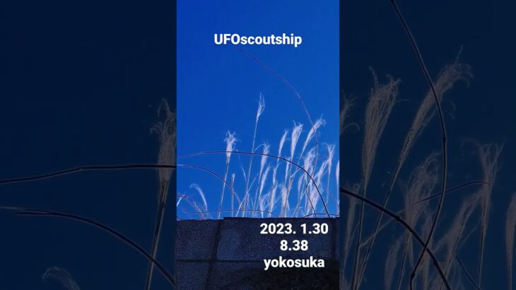 2023.1.30 8.38#海の見える町 #yokosuka #scoutship #宇宙船 #未確認飛行物体 #空飛ぶ円盤 #航空機型未確認機 #スカウトシップ #UFO