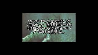 未確認生物ファイル40　チャイニーズ・ネッシー