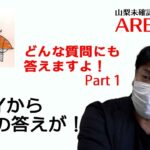 甲府UFO接近遭遇事件　少年Yがどんな質問にも答えますパート1【Japan Kofu UFO Close Encounter Case】