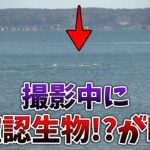 【能登半島で投げ釣りをしていたら未確認生物撮れた。】第14回ふぐ名人のダーツの釣り！【第3話】