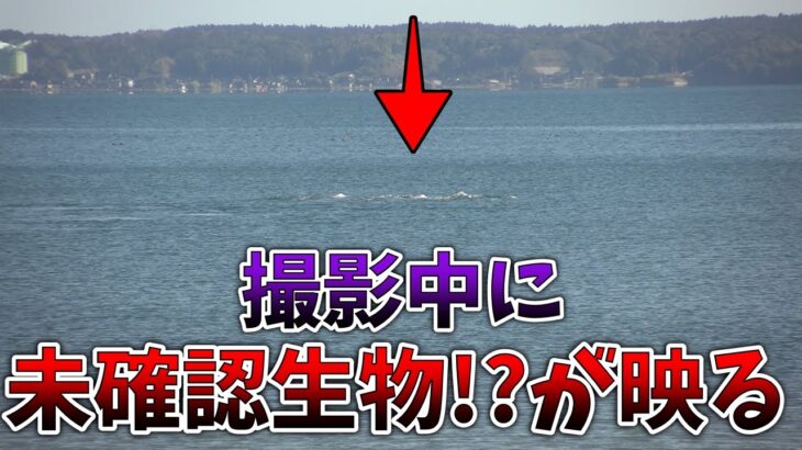 【能登半島で投げ釣りをしていたら未確認生物撮れた。】第14回ふぐ名人のダーツの釣り！【第3話】