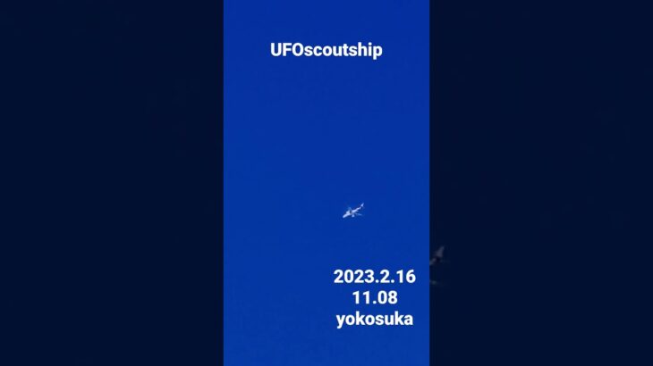 2023.2.1611.08 #yokosuka #scoutship #未確認飛行物体 #空飛ぶ円盤 #宇宙船 #航空機型未確認機 #スカウトシップ#UFO 　