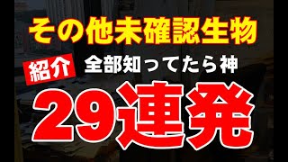 【29連発】その他の未確認生物【紹介】