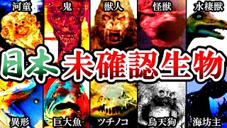 【未確認生物】日本に潜む謎の怪生物たちを徹底解説‼