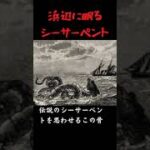 【未確認生物?】浜辺に眠るシーサーペント【観光名所】