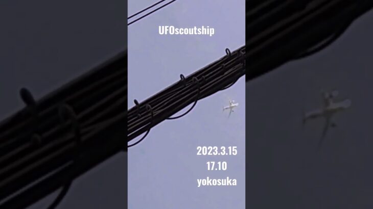 2023.3.15# #空飛ぶ円盤 #yokosuka #未確認飛行物体 #宇宙船 #航空機型未確認機 #scoutship #未確認機 #行け我が思いよ黄金の翼に乗って#飛行機型UFO#UFO