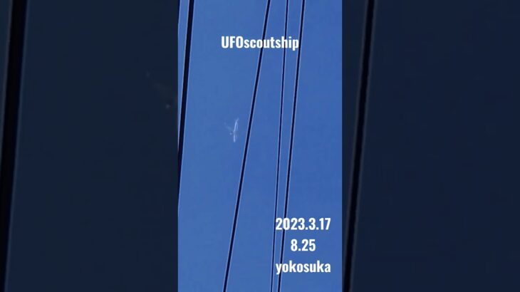 2023.3.17 8.25 #yokosuka #空飛ぶ円盤 #未確認飛行物体 #宇宙船 #航空機型未確認機 #scoutship #未確認機 #飛行機型UFO#UFO