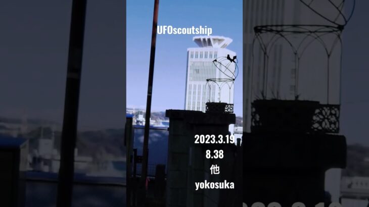 2023.3.19 #空飛ぶ円盤 #yokosuka #未確認飛行物体 #宇宙船 #航空機型未確認機 #未確認機 #scoutship #飛行機型UFO#UFO#港のヨーコヨコハマヨコスカ