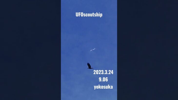 2023.3.24 9.06 #空飛ぶ円盤 #yokosuka #未確認飛行物体 #未確認機 #宇宙船 #scoutship #スカウトシップ #飛行機型UFO#UFO