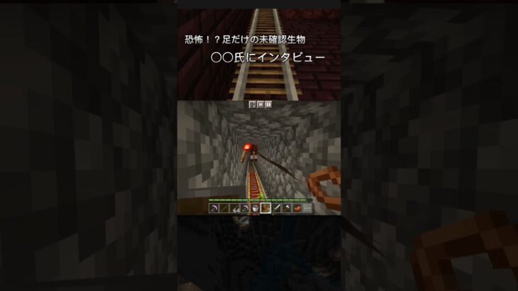 【Minecraft】恐怖！？足だけの未確認生物を発見したM氏に直撃インタビュー!! #minecraft #まいくら #オススメ #おすすめ #funny #fyp #shorts #ホラゲー