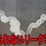 南米でUAPが多発する理由…かつて存在した謎の生命体の存在と99％の人が知らない世界で起きている真実【都市伝説】