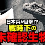 日本兵が目撃!? 戦時下の未確認生物