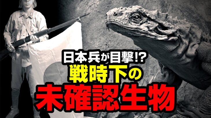 日本兵が目撃!? 戦時下の未確認生物