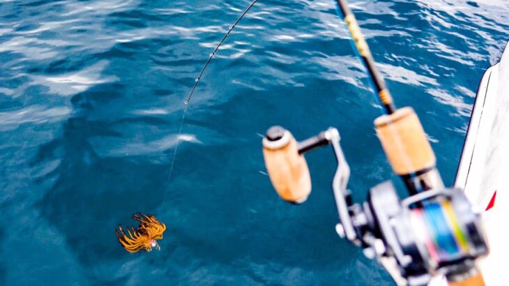 【未確認生物】真冬の近海ジギング – 若狭湾