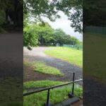 霊感が強い人と、実録心霊現象スポットの公園に行った、チャンネル登録よろしくお願いします🙇‍♀️