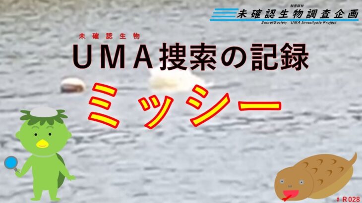 【未確認生物調査企画】現地調査　ミッシー（2023.5.5）